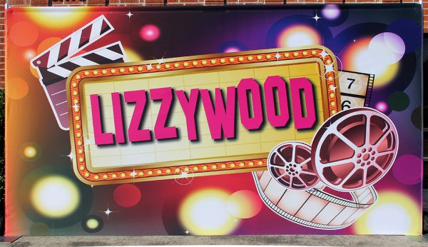 Lizzywood 16x8 Quick Setup System Banner